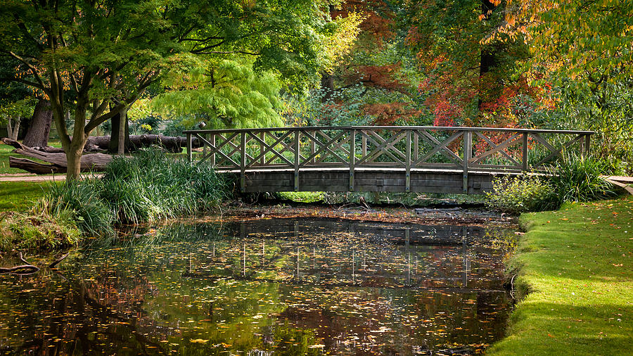 Bushy Park in Autumn Photograph by Colin Evans - Fine Art America