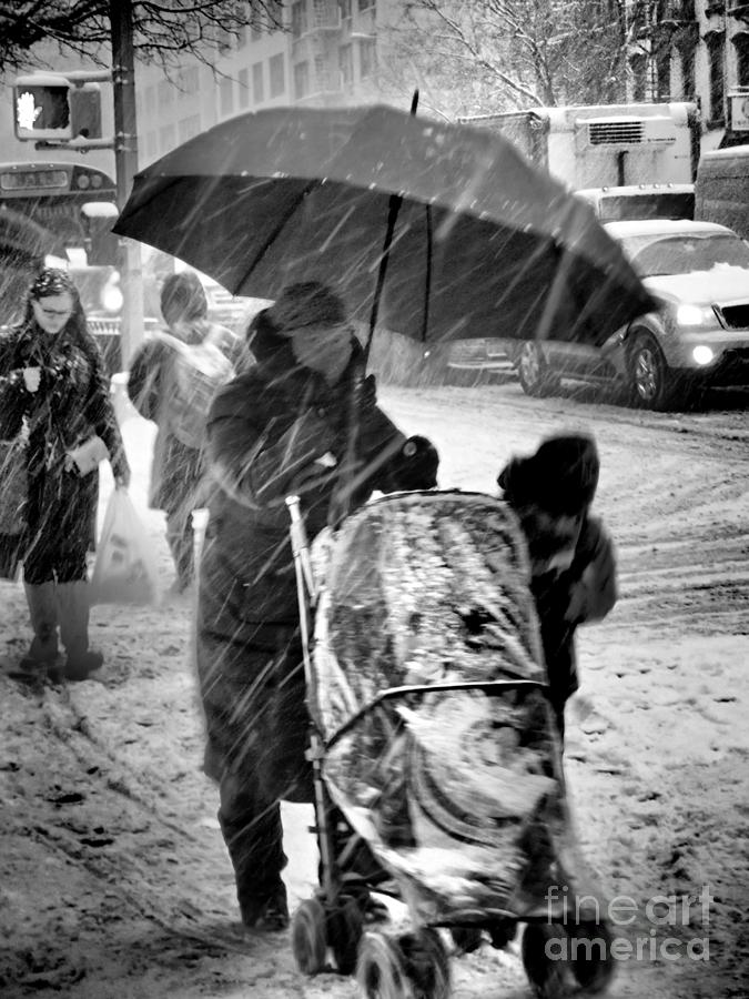 Business as Usual - Blizzard Photograph by Miriam Danar