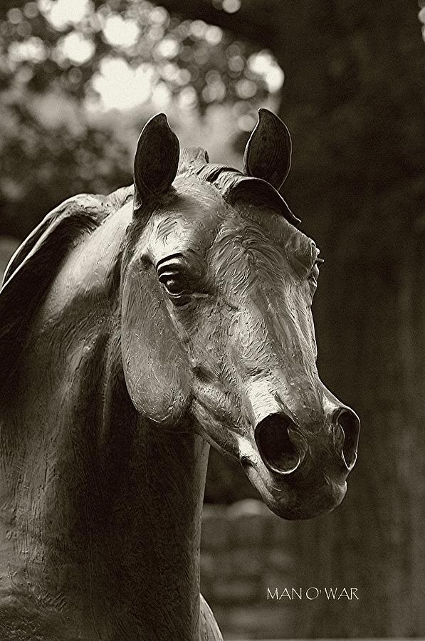 Lexington Photograph - Bust of Man O War 3 - Kentucky Horse Park by Thia Stover