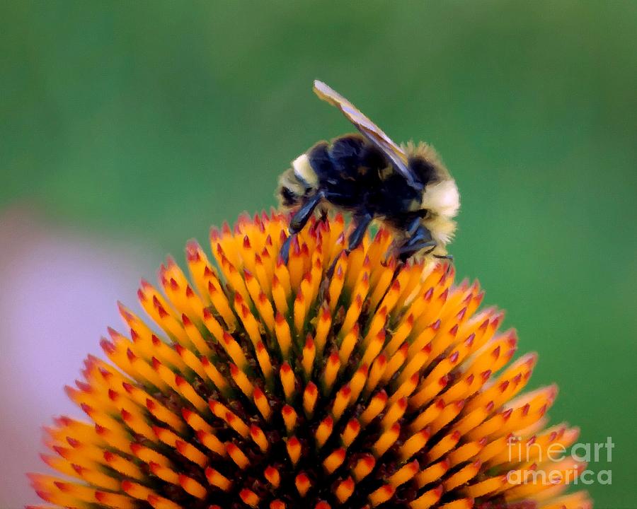 Busy Bee Digital Art by Patricia Strand