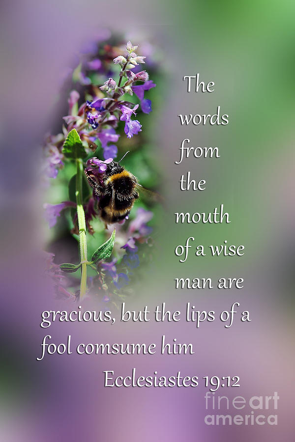 Busy Bee with Scripture Photograph by Linda Phelps