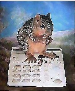 Squirrel Mixed Media - Busy Signal by Brenda Garacci