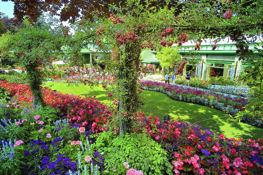 Butchart Gardens 1 Photograph by Lawrence Christopher