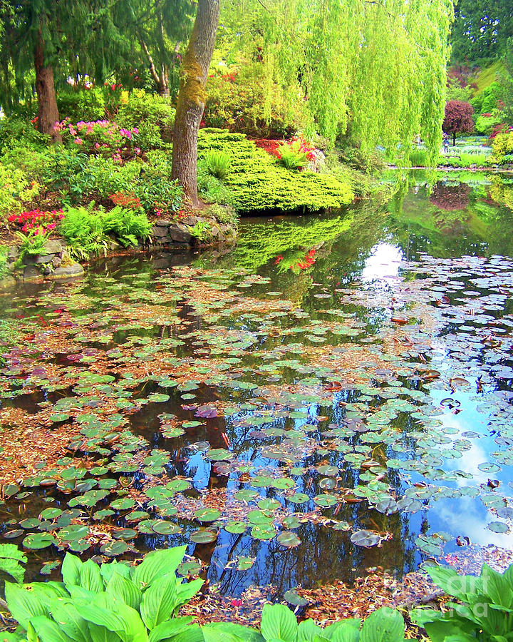 Butchart Gardens Pond Photograph by Elizabeth Thomas - Fine Art America