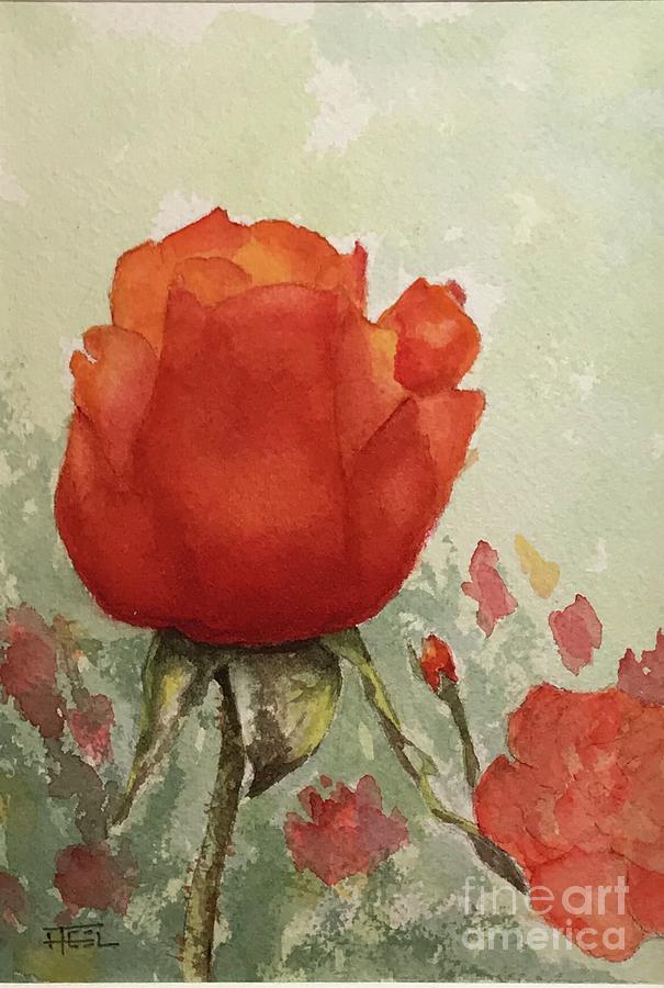 Butchart Rose by Harold Teel Butchart Rose by Harold Teel