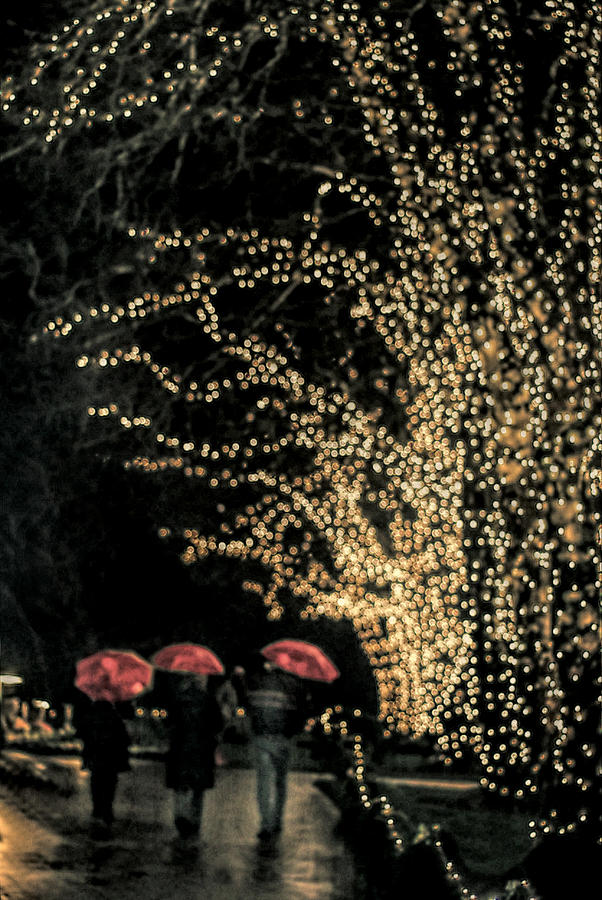 Christmas Photograph - Winter Wonderland by Marilyn Wilson
