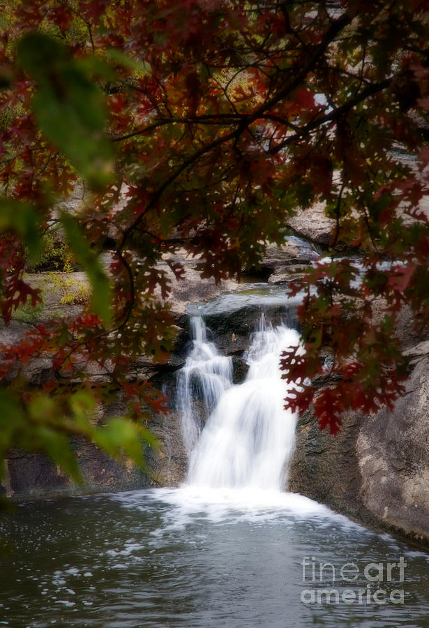 Butcher Falls in Autumn Colors Photograph by Fred Lassmann