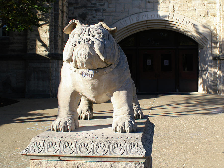 Butler Bulldog Photograph by Mr Other Me Photography DanMcCafferty ...