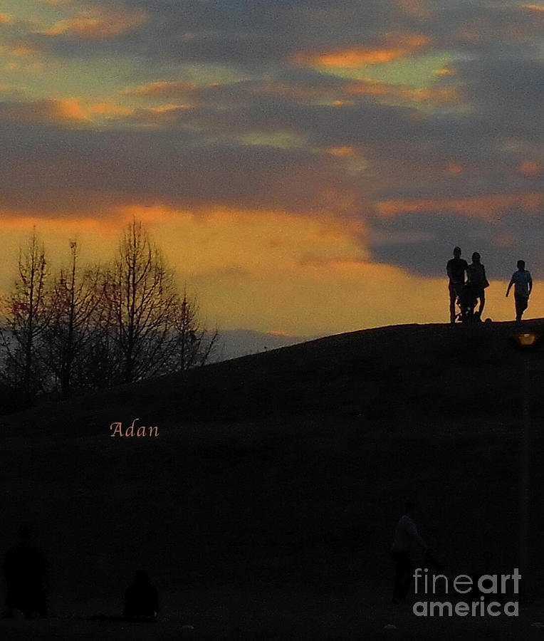 Butler Park Sunset Silhouette Austin Texas - One Detail Three Vertical Photograph by Felipe Adan Lerma