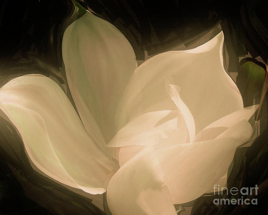 Butter Magnolia Painting by Mindy Sommers