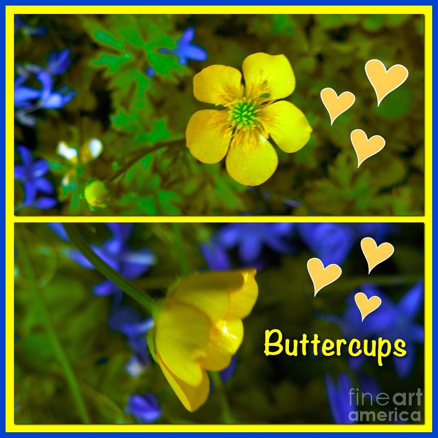Buttercup Collage Photograph by Joan-Violet Stretch
