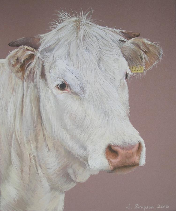 Cow Pastel - Buttercup by Joanne Simpson
