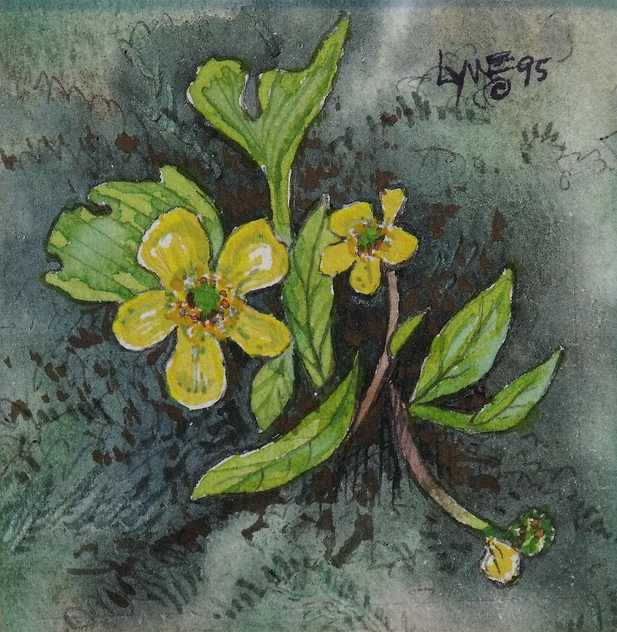 Buttercup Painting by Lynne Haines