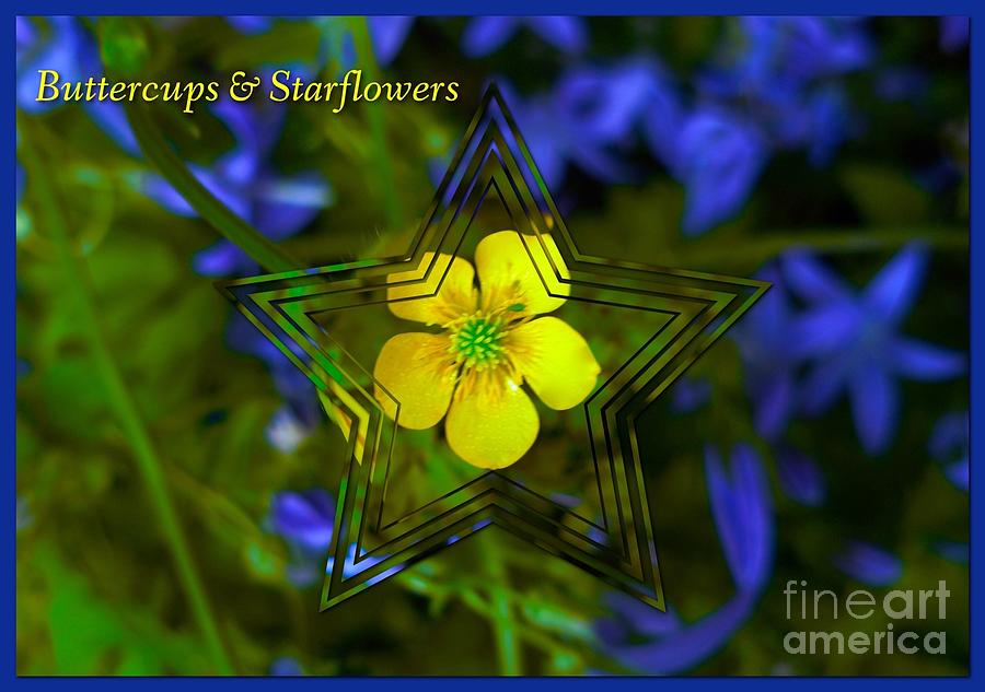 Buttercups and Starflowers Photograph by Joan-Violet Stretch
