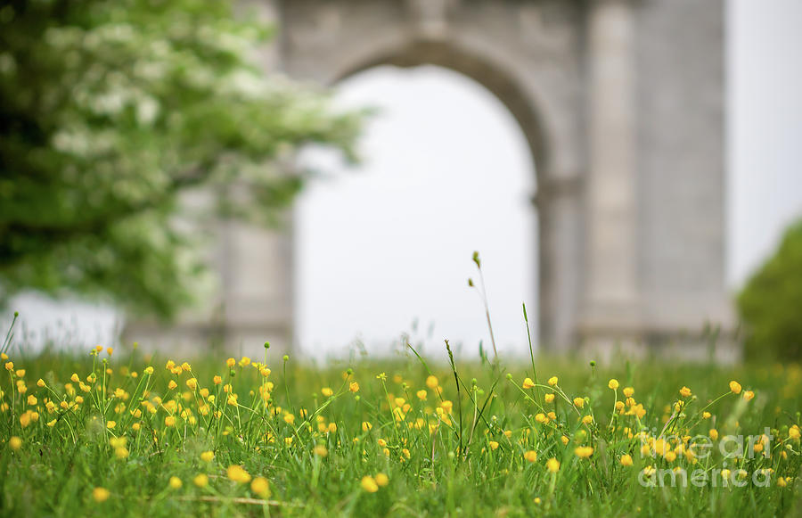Buttercups and the Valley Forge Memorial Photograph by Howard Roberts
