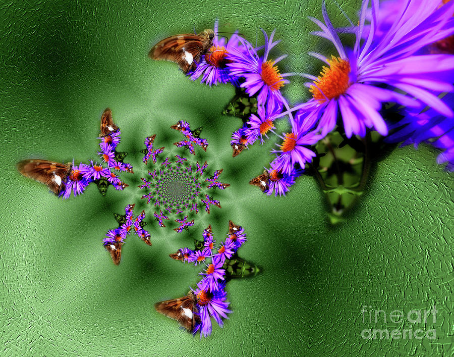 Butterflies Abstract Photograph by Smilin Eyes Treasures