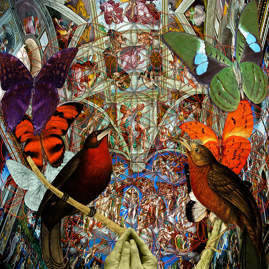 Bird Digital Art - Butterflies Birds And Heart  by Joseph Mosley