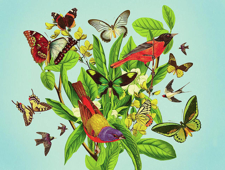 Butterflies and birds on plant and flower stem Drawing by Mark Weaver