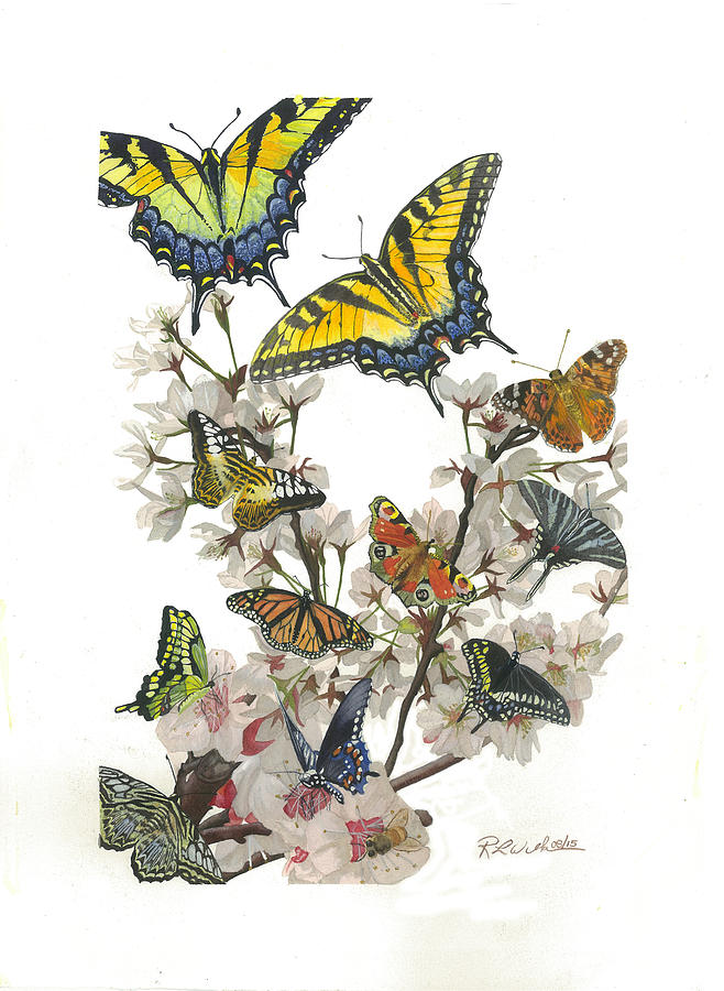 Butterfly Painting - Butterflies and Blossoms by Ronald Wilkie