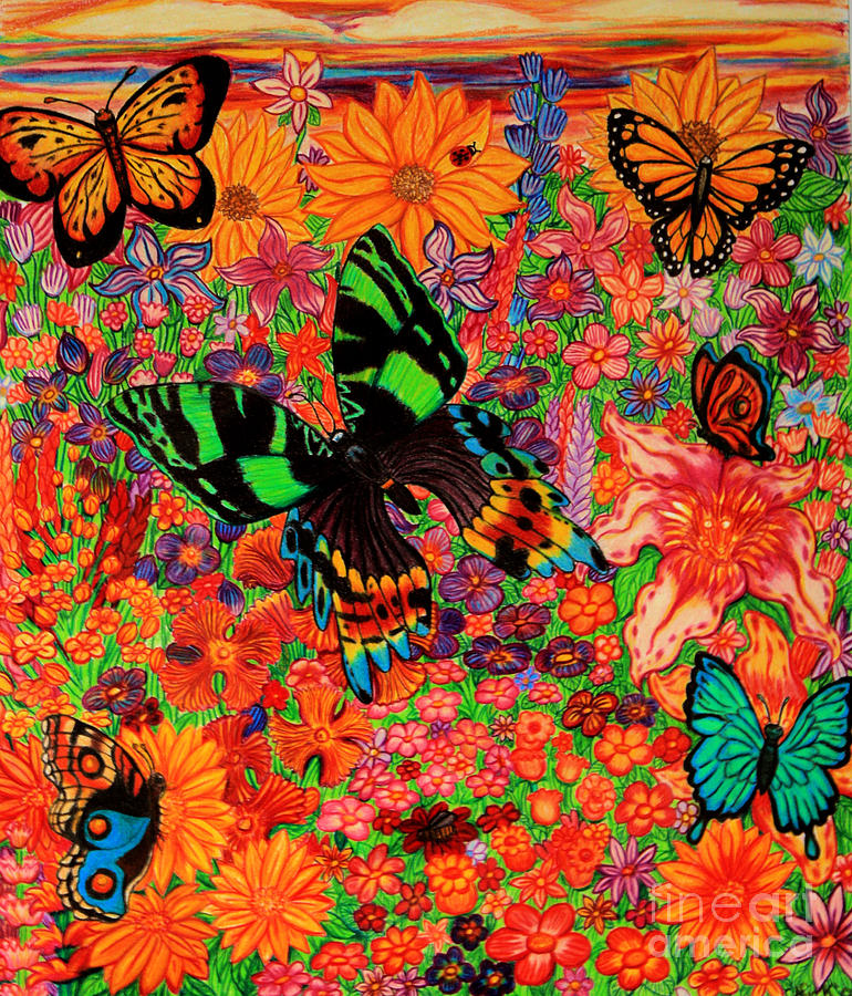 Butterflies And Flowers Drawing