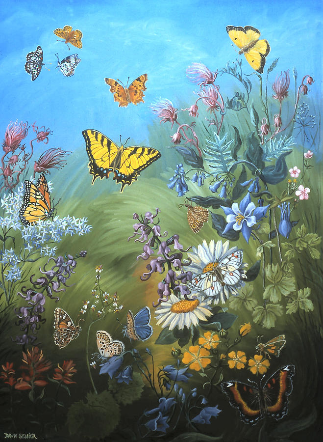 Butterfly Painting - Butterflies and Wildflowers of Wyoming by Dawn Senior-Trask