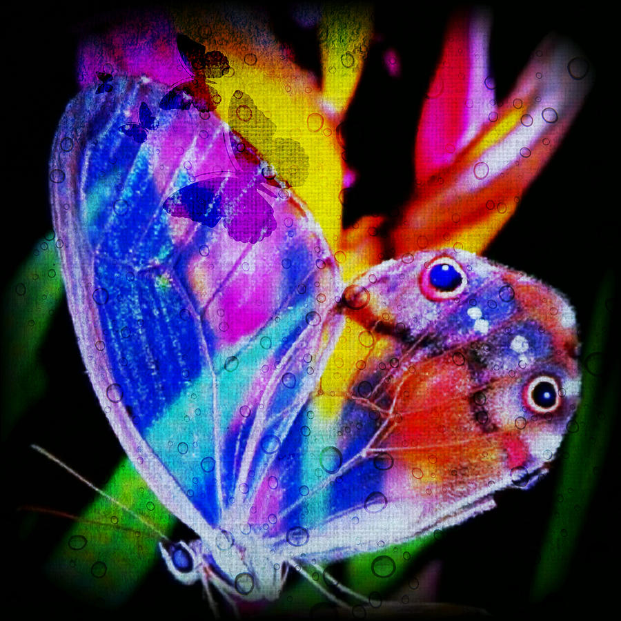 Butterflies Are Free Digital Art by Digital Art Cafe