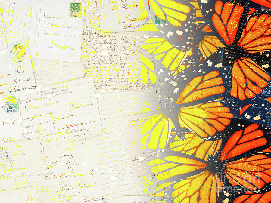 Butterflies Letters Photograph by Anastasy Yarmolovich