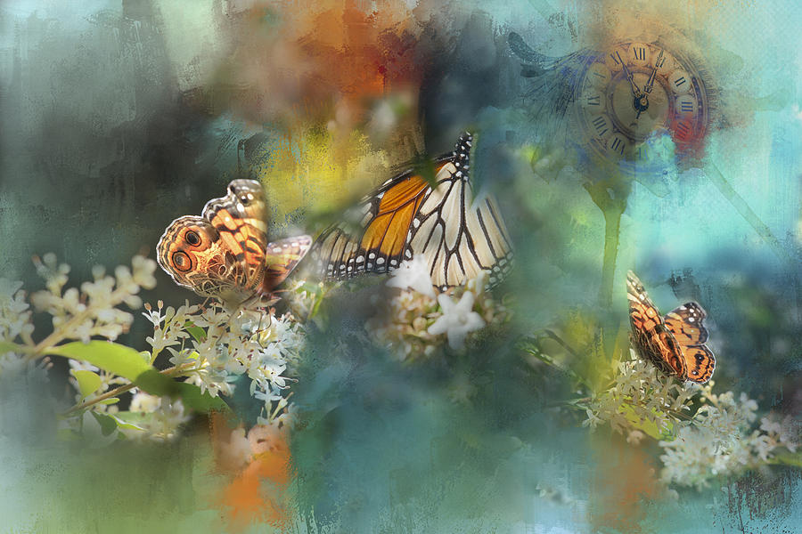 Butterflies on a Spring Day Photograph by Toni Hopper