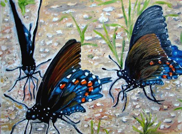 Butterfly Painting - Butterflies original oil painting by Natalja Picugina Butterfly Painting - Butterflies original oil painting by Natalja Picugina