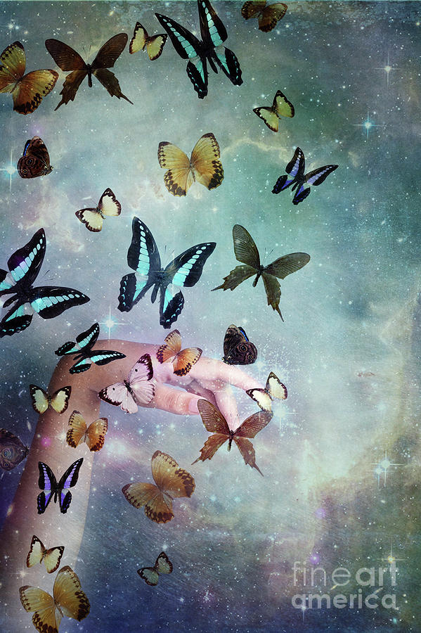 Butterflies Reborn Digital Art by Stephanie Frey