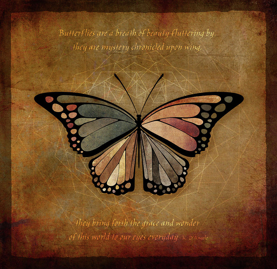 Butterfly 1 Digital Art by Terry Davis