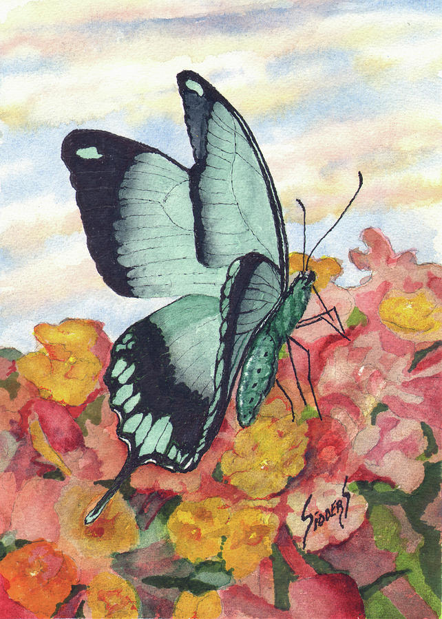 Butterfly 180727 Painting by Sam Sidders