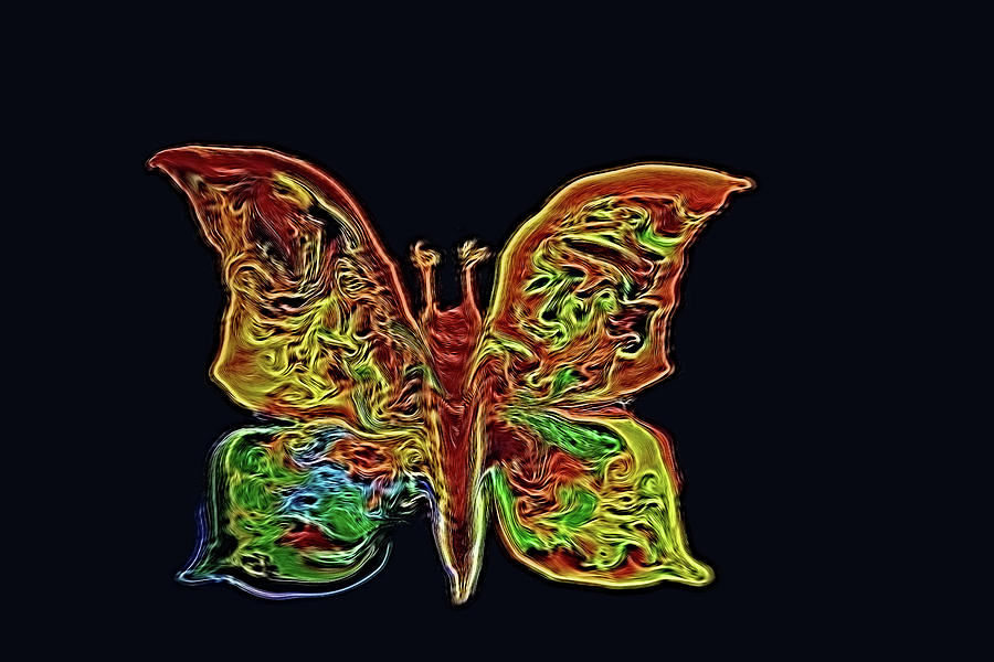 Butterfly Digital Art - Butterfly 2 by MaryAnn Janzen