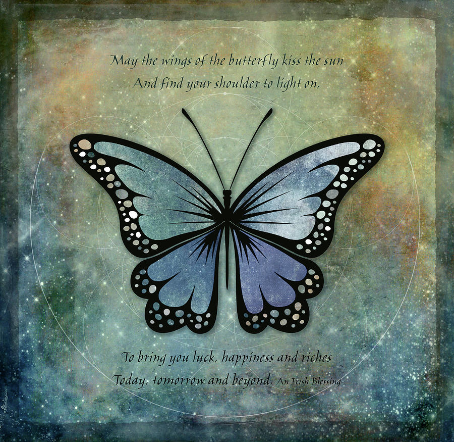 Butterfly 2 Digital Art by Terry Davis