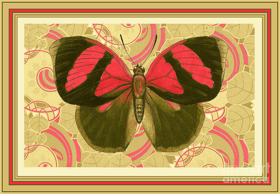 Butterfly Painting - Butterfly 27 by Robert Todd