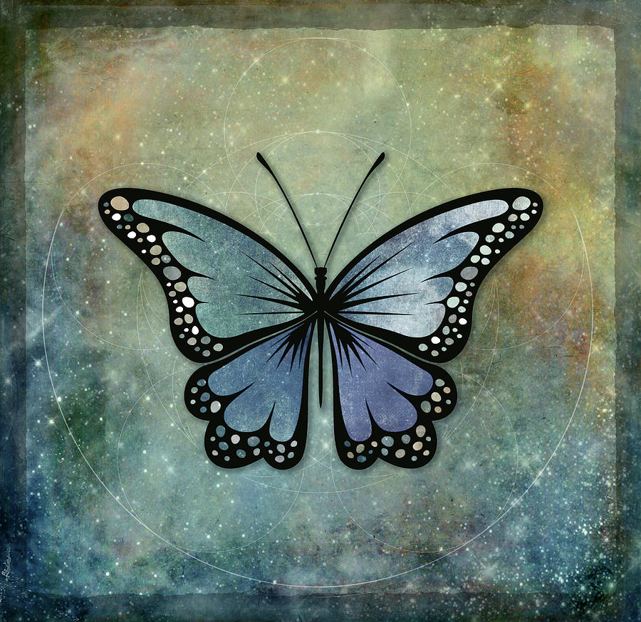 Butterfly 2a Digital Art by Terry Davis