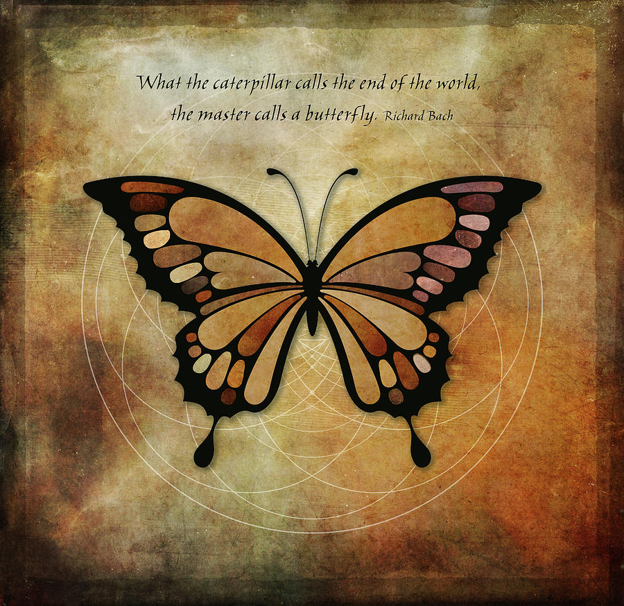 Butterfly 3 Digital Art by Terry Davis