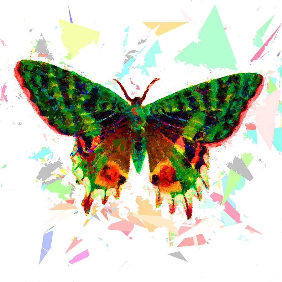 Butterfly 316 Painting by Movie Poster Prints