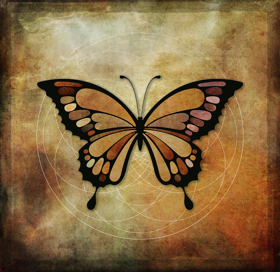 Butterfly 3a Digital Art by Terry Davis
