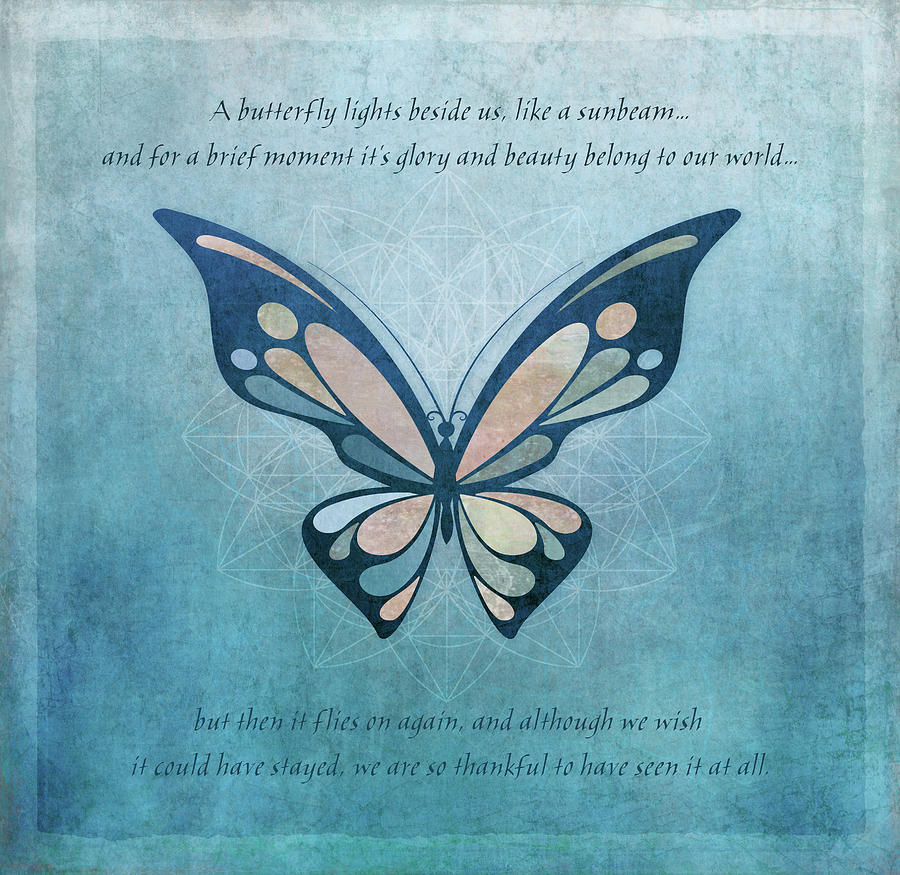 Butterfly 5 Digital Art by Terry Davis