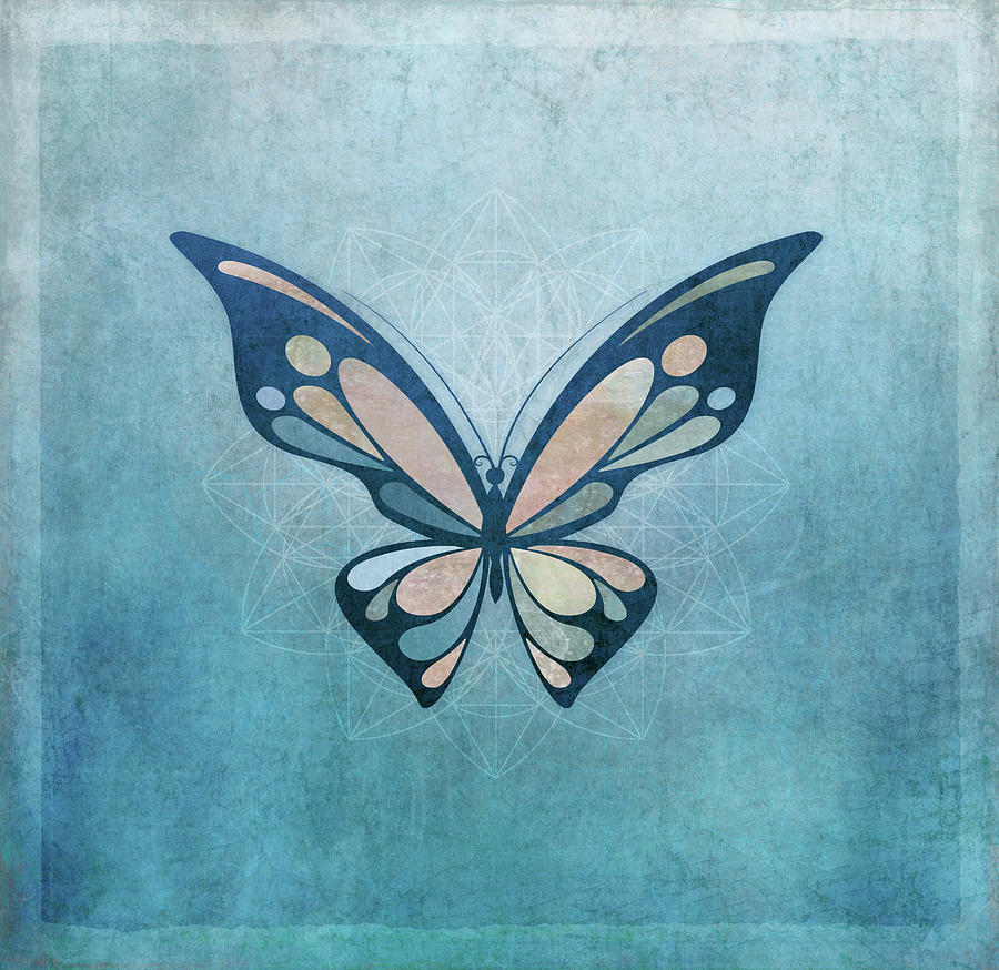 Butterfly 5a Digital Art by Terry Davis