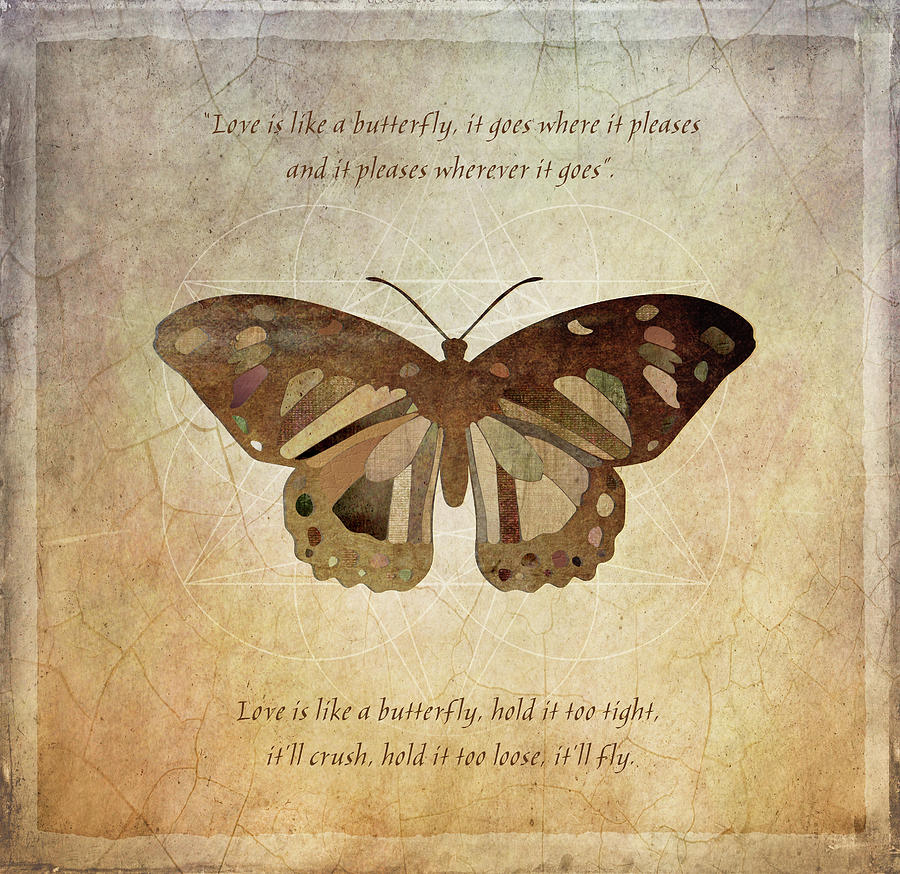 Butterfly 6 Digital Art by Terry Davis