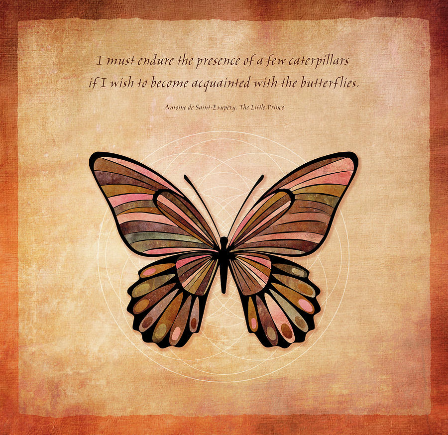 Butterfly 7 Digital Art by Terry Davis