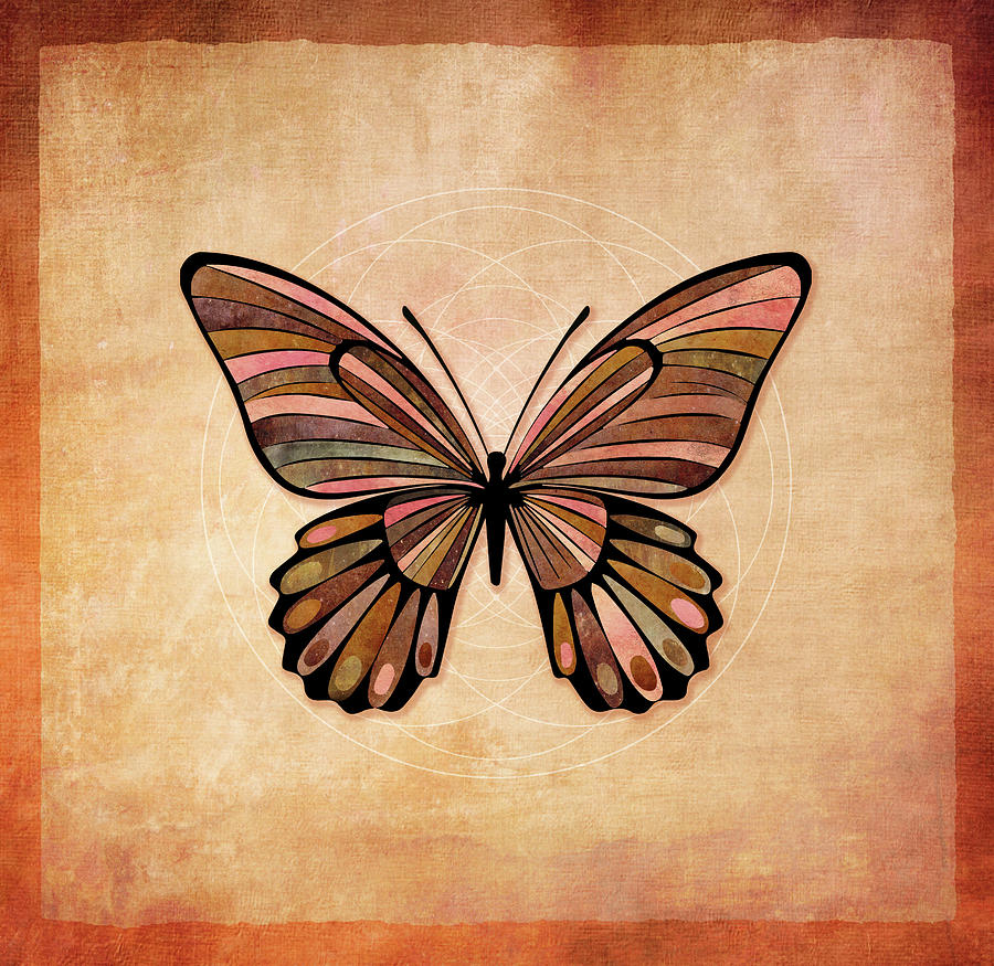 Butterfly 7a Digital Art by Terry Davis