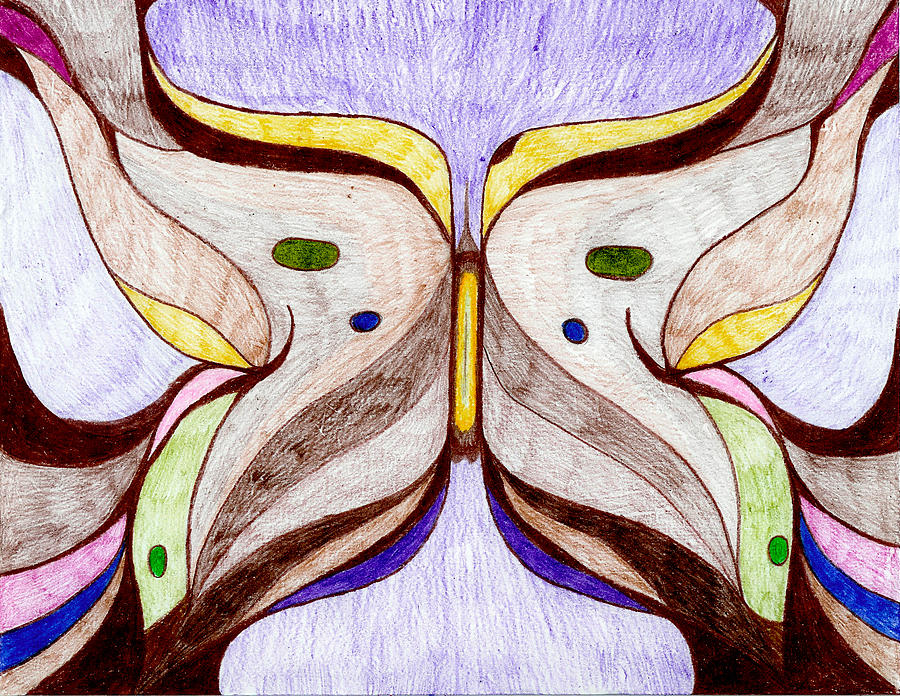 Butterfly Drawing by Aileen Heymach
