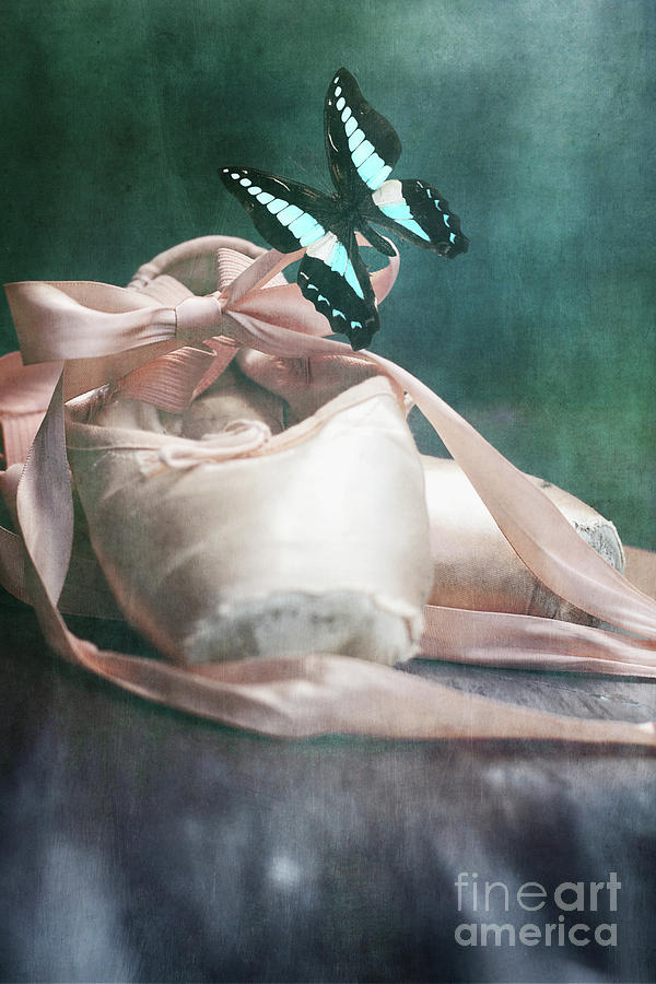 Butterfly and Ballerina Pointe Shoes Photograph by Stephanie Frey