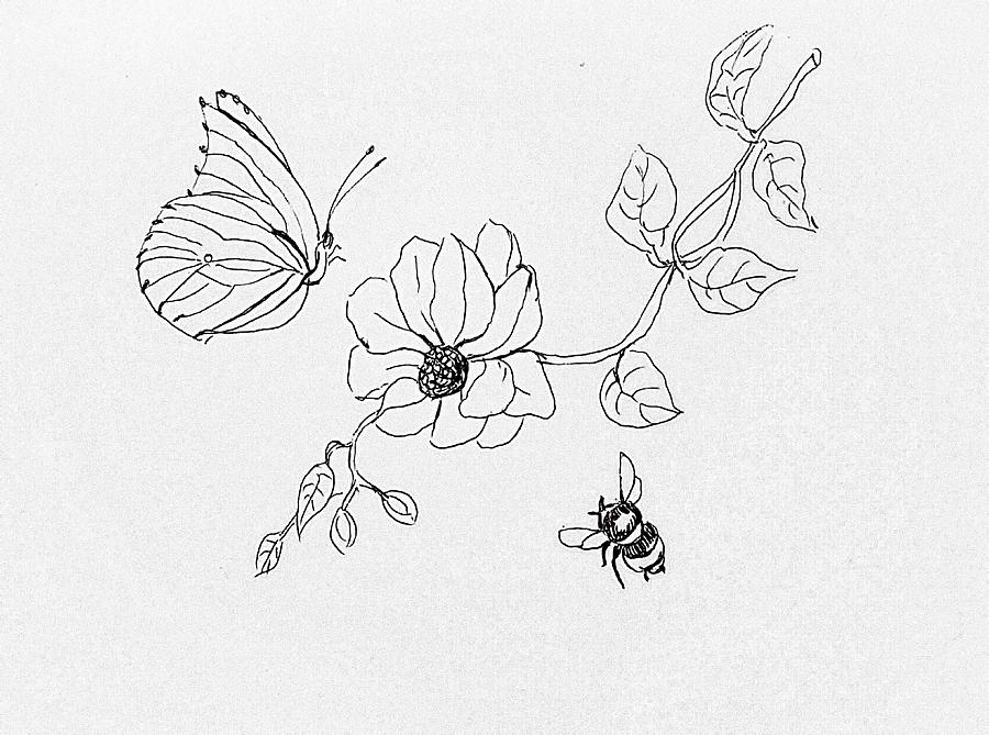 Butterfly and bee Drawing by Hae Kim