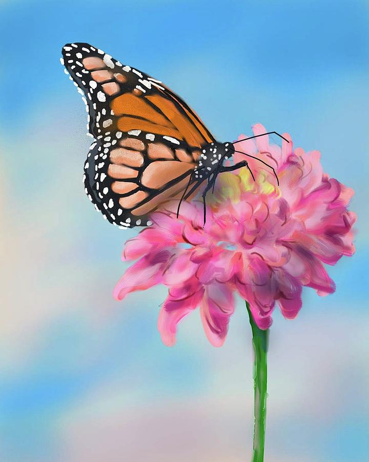 Butterfly and Blossom Digital Art by Cynthia Westbrook