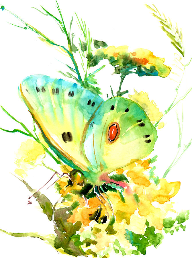 Butterfly and Flowers Painting by Suren Nersisyan