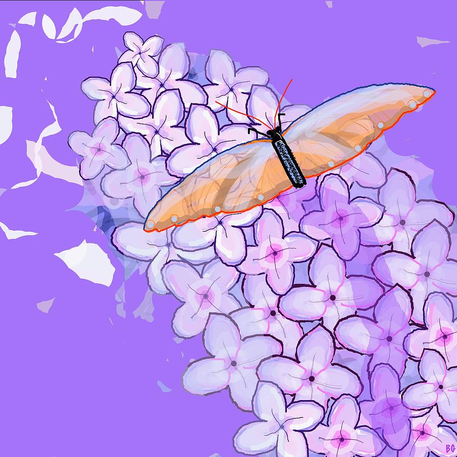 Butterfly and Lilac Drawing by Barbara Gerry | Fine Art America